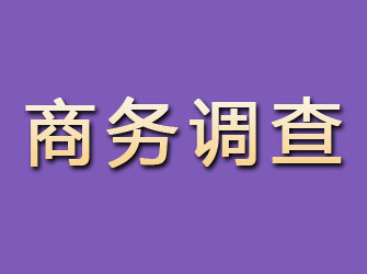 新沂商务调查